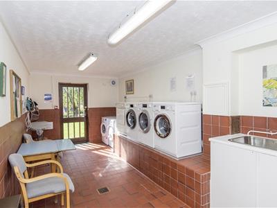Picture 21